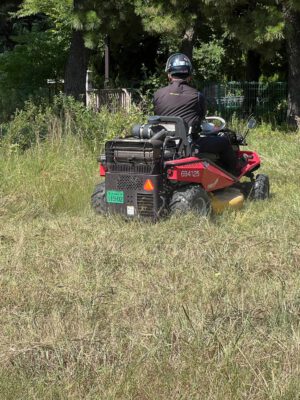 大規模除草工事 大規模除草工事